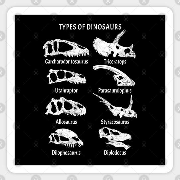 Types of Dinosaurs Table for Kids Sticker by NicGrayTees